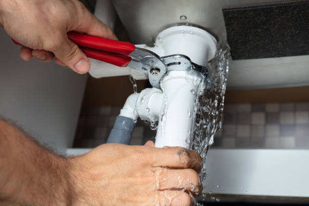 Best Flood restoration services  in Nes, IL