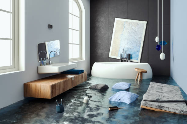 Best Ceiling water damage repair  in Nes, IL