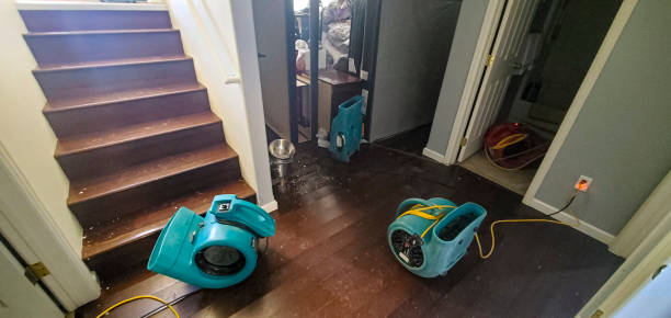 Best 24/7 water damage repair  in Nes, IL