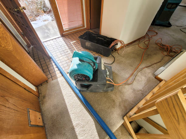 Best Flood restoration services  in Nes, IL