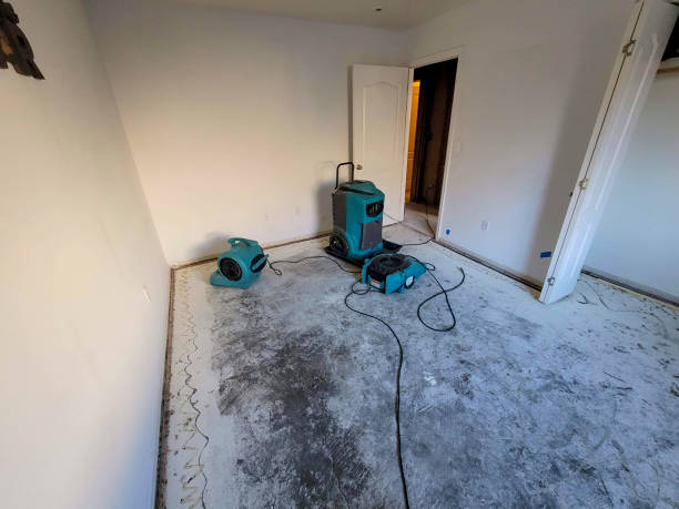 Best Sewage cleanup and water damage restoration  in Nes, IL