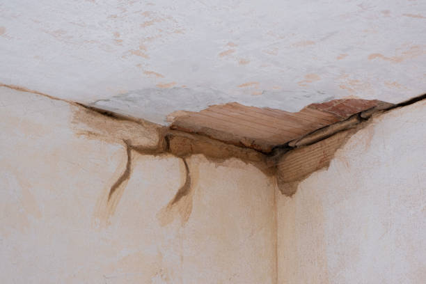 Carpet water damage restoration in Niles, IL