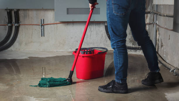 Best Basement water damage restoration  in Nes, IL