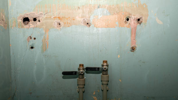 Best Fire Damage Restoration  in Nes, IL