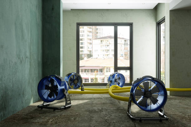 Best Residential water damage restoration  in Nes, IL