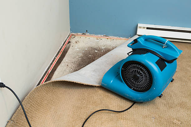 Best Water damage restoration company  in Nes, IL